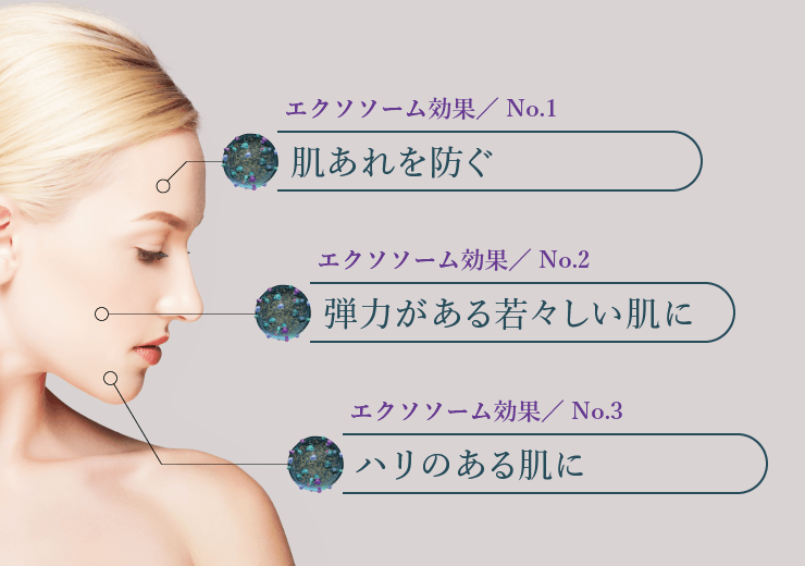 通販】exo PARTICLE エクソパーティクル エクソソーム ｜ 【通販